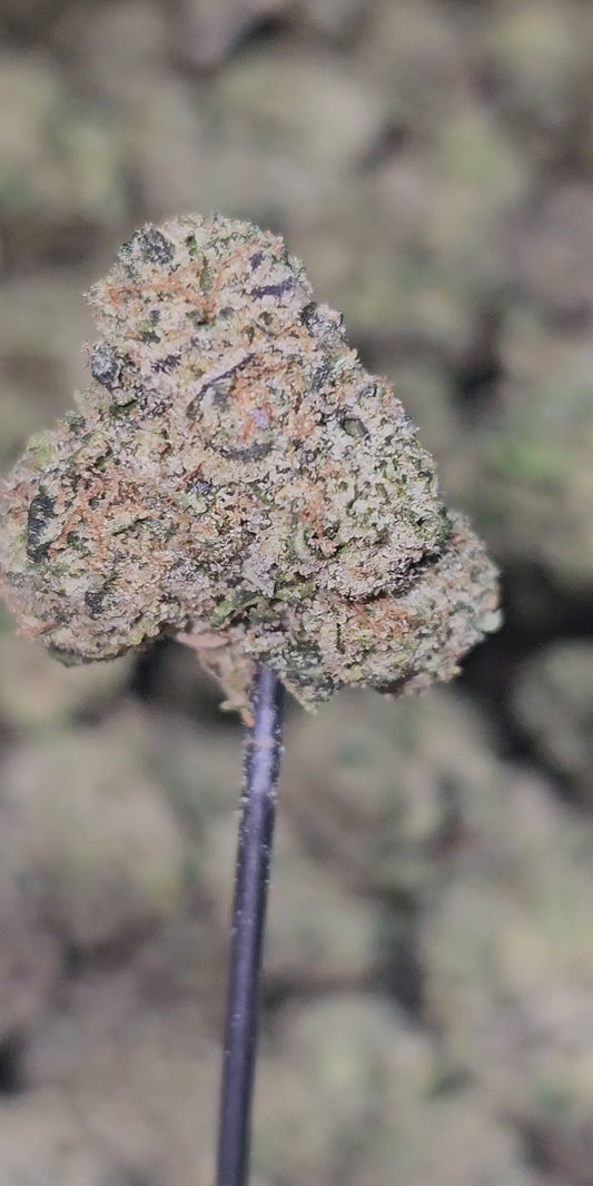 Jet Fuel 35% THCA Med/Small mix Bulk