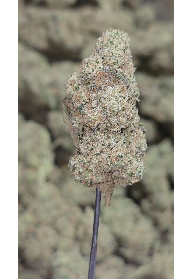 Skywalker OG 32% THCa