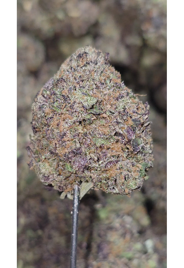 GMO 35% THCA