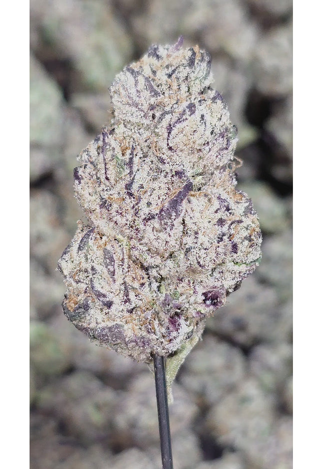 Cactus Breath 36% Thca – Terp Thca