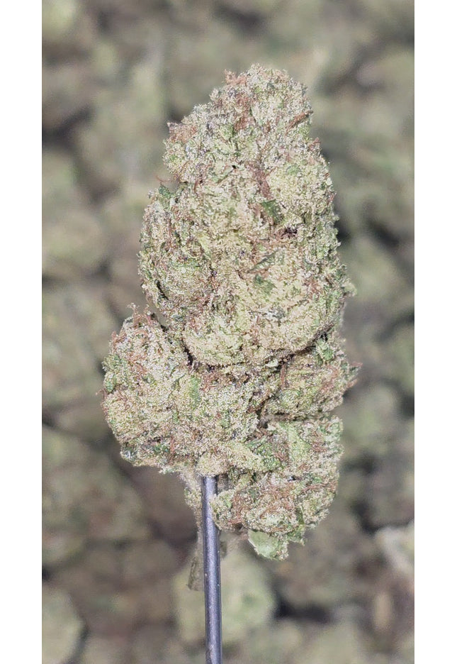 Electric Lemon G 30% Thca