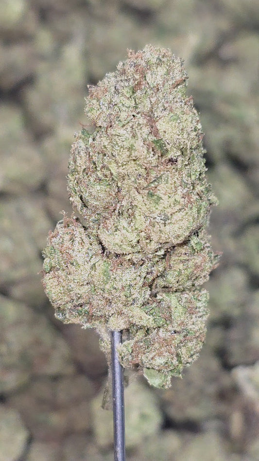 Electric Lemon G 30% Thca