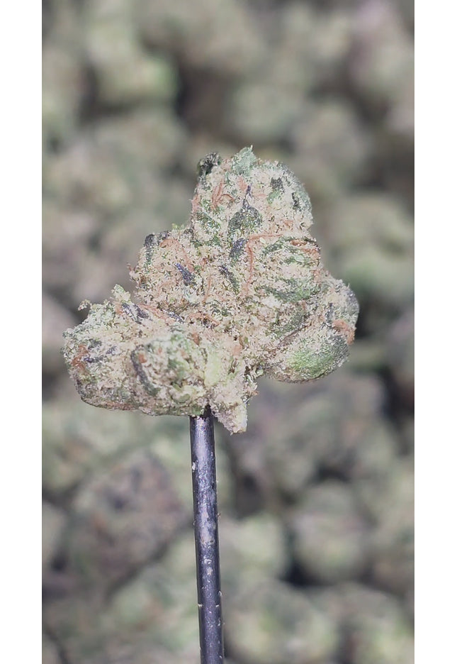 Grape Lemon Cherry 35% THCa Smalls Bulk