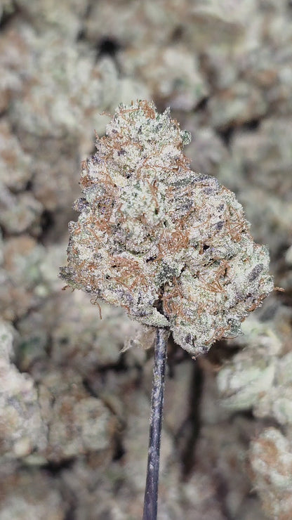 Golden Goat 35% Thca Med/SM Mix