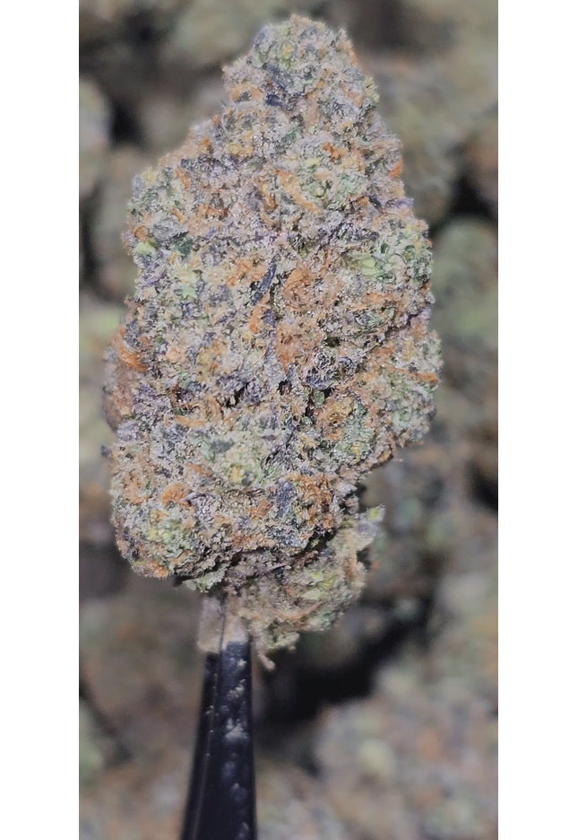 Golden Fire OG 35% Thca