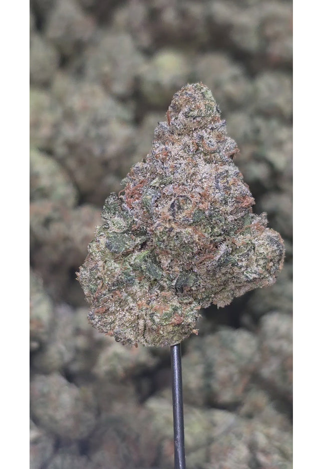 Super Buff Cherry 34% THCa