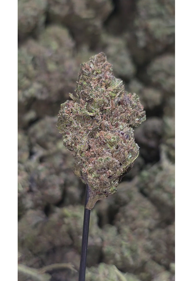 Fatso OG 33% THCA Bulk