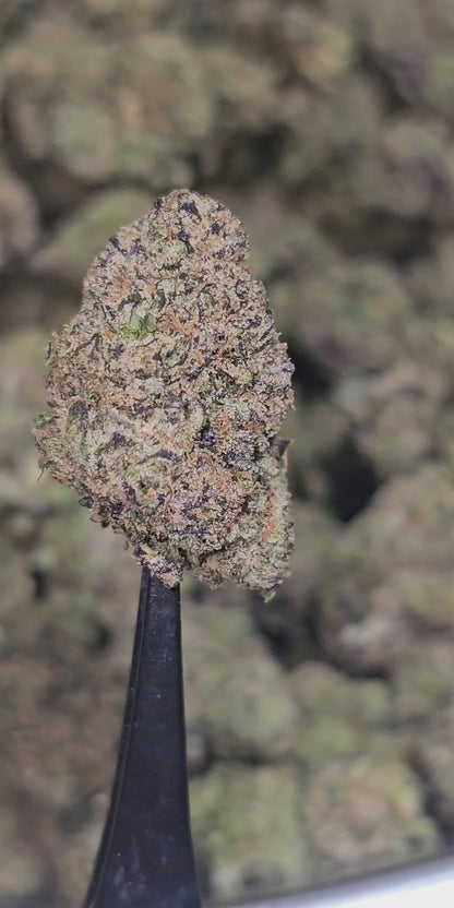 GMO 35% THCA Mediums Bulk