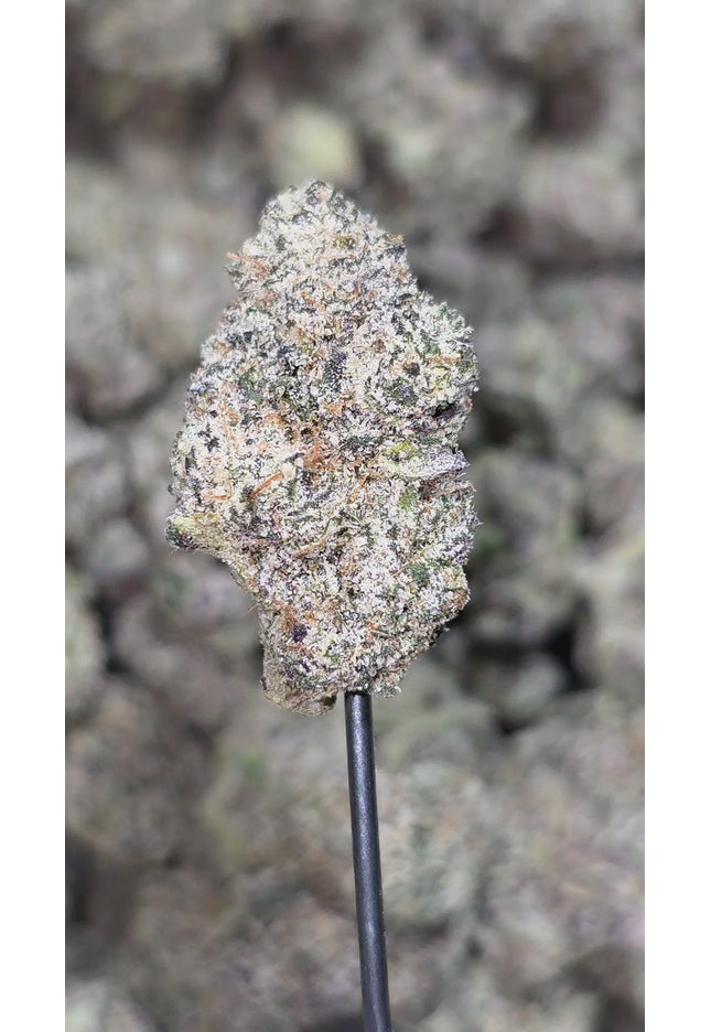 Destroyer 36% Thca Med