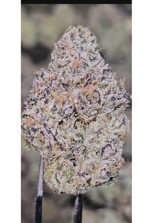 Flap jacks 36%  Thca