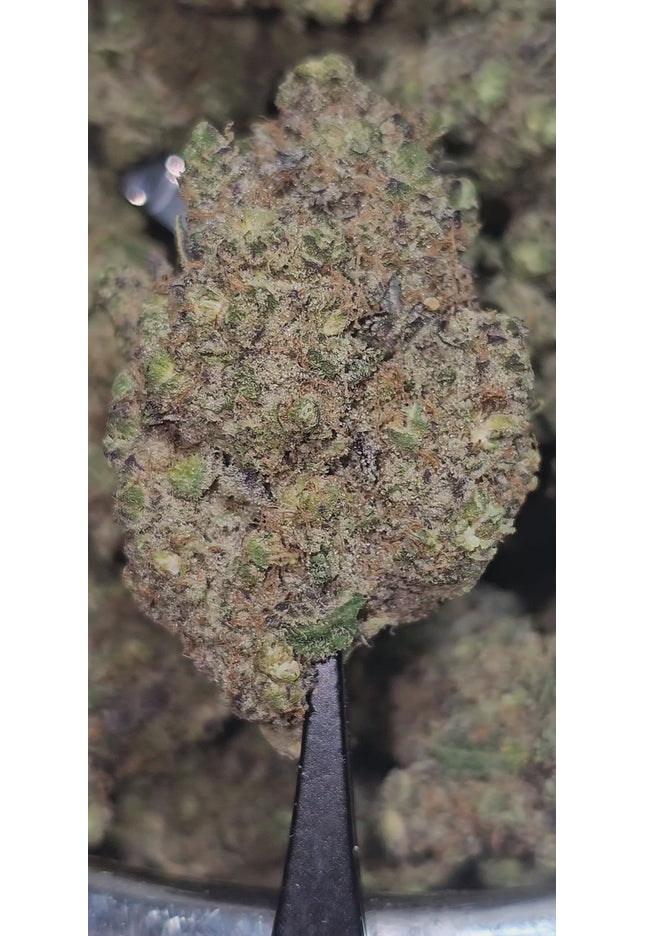 Sour Sasquatch 34% Thca Bulk