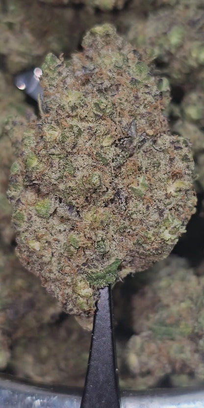 Sour Sasquatch 34% Thca