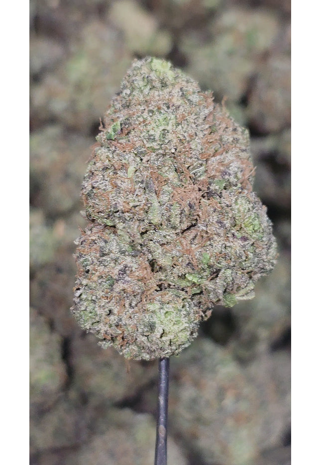 Gorilla Glue 36% Thca (Different Pheno)