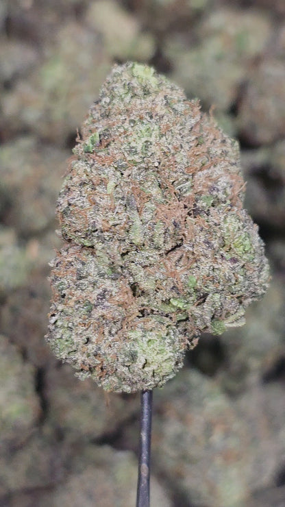 Gorilla Glue 36% Thca (Different Pheno)