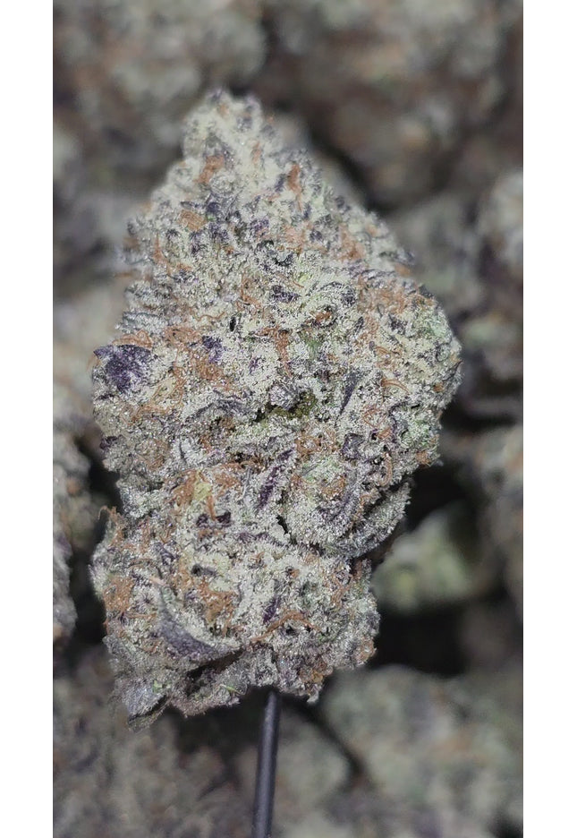 Acapulco Gold 36 % Thca