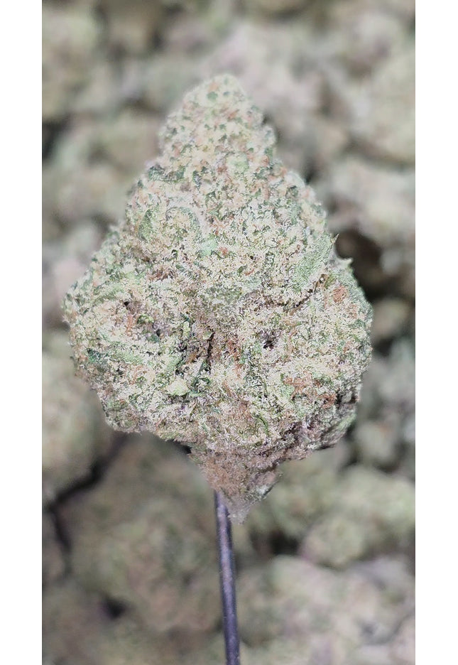 Hallie Berry Runtz 34% Thca