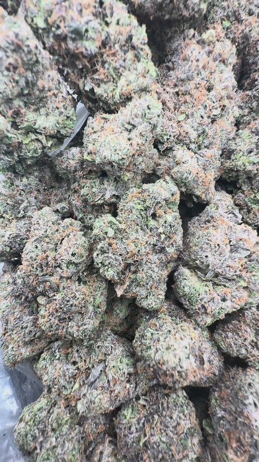 Zushi 35% Thca Bulk (Black Label)