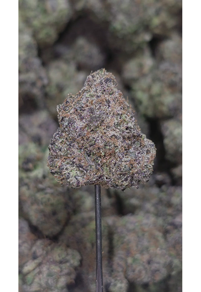 Mendocino Purps 35% (Rare Strain) Bulk