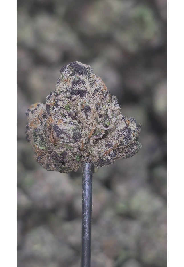 Rare Darkness 35% THCA Smalls RARE STRAIN Bulk