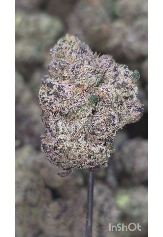 Purple Wookie 35% Bulk