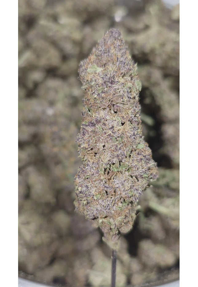 Romulan  35% THCA Bulk