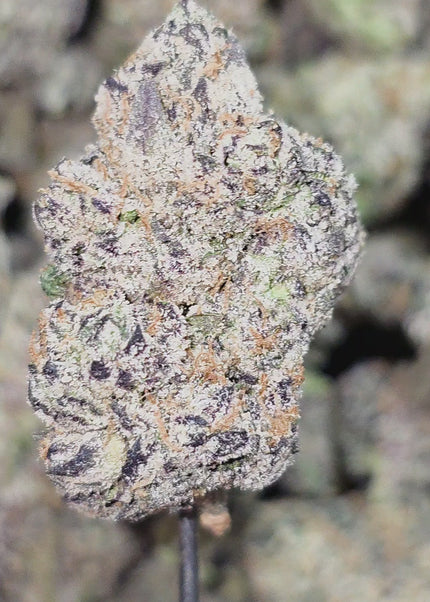 Exotic THCa hemp flower pounds wholesale fast shipping