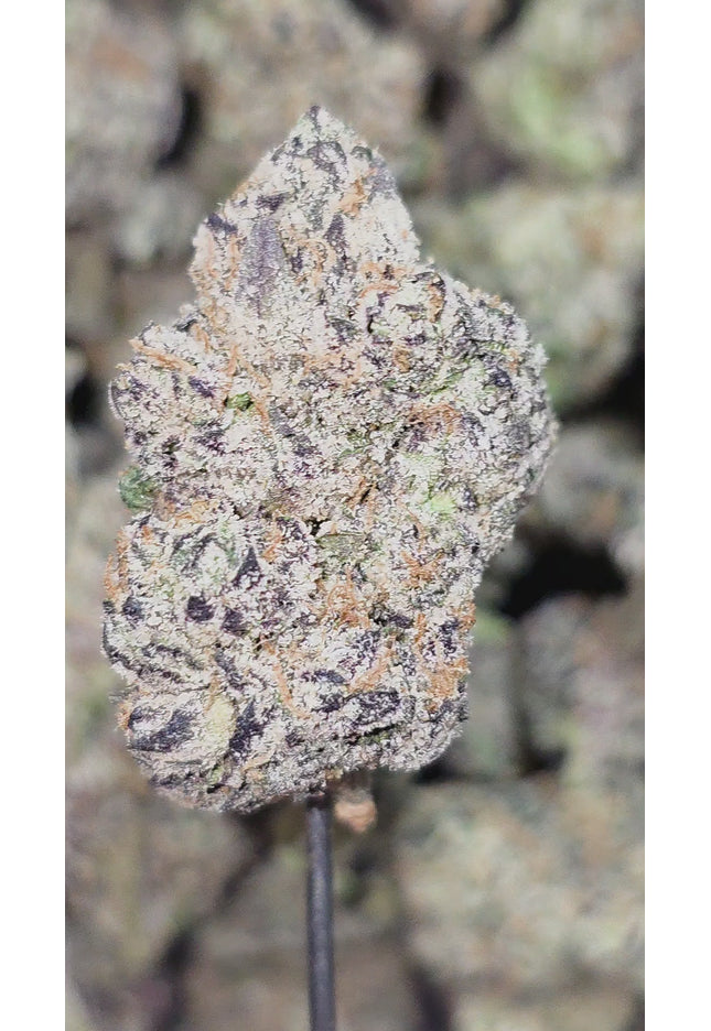Exotic THCa hemp flower pounds wholesale fast shipping