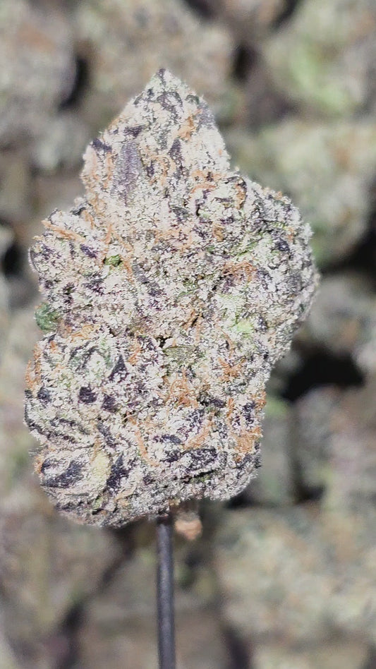 Mother Of Berries 35% Thca Bulk