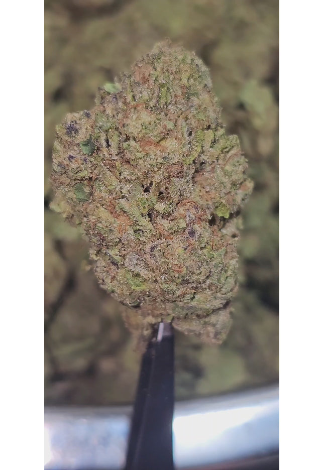 Gelatti Kush Mintz 31% Thca Bulk