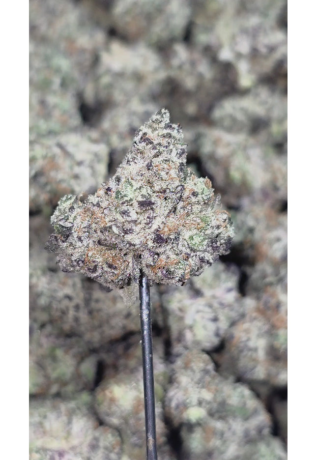 Black velvet 35% THCa Med Bulk