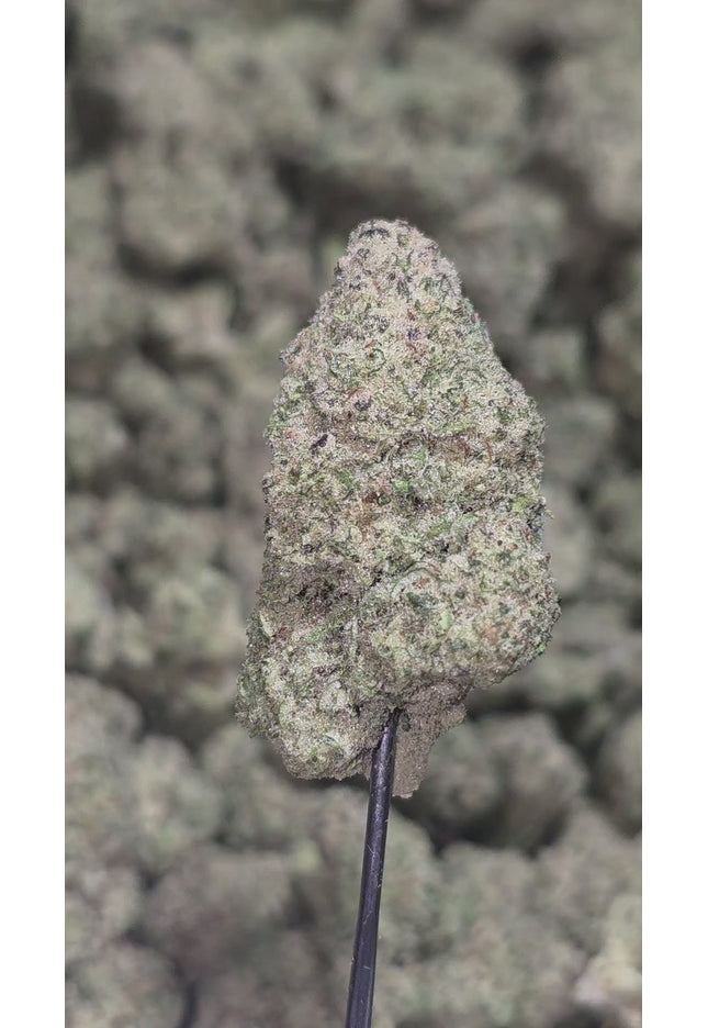 Blueberry Haze 33%