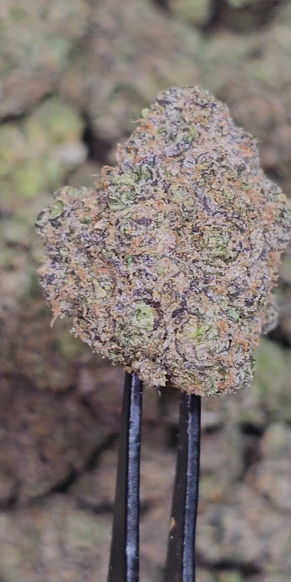 Cosmic Queen 35%  Thca
