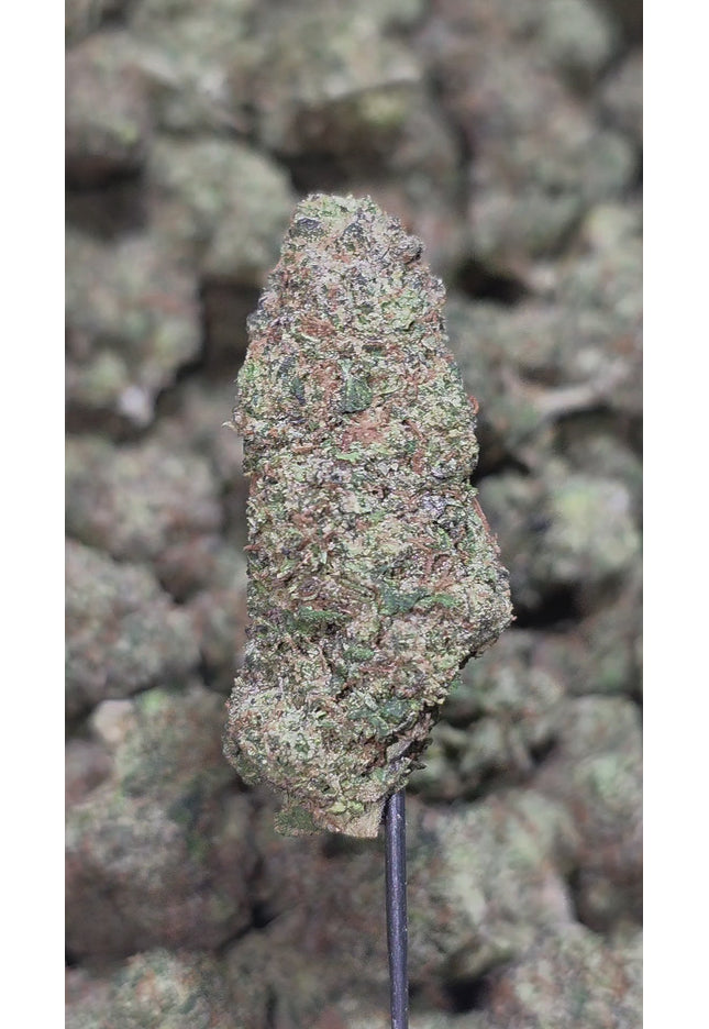 Sour Trails 34% THCa Bulk