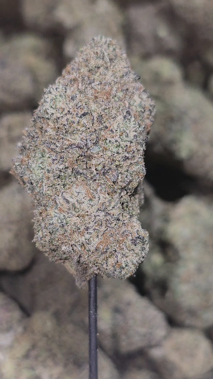 Mendocino Purps 35% (Rare Strain).
