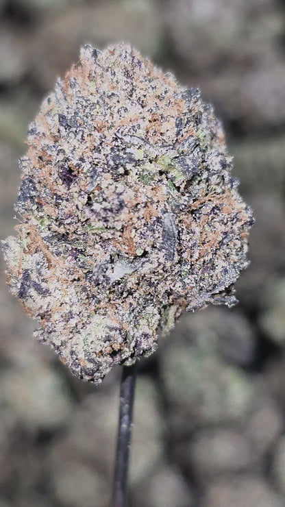 Black Domina 35% THCA