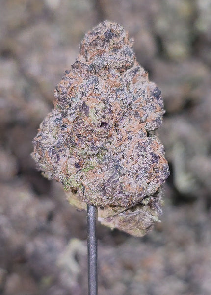 discount wholesale bulk purple flower exotic kush