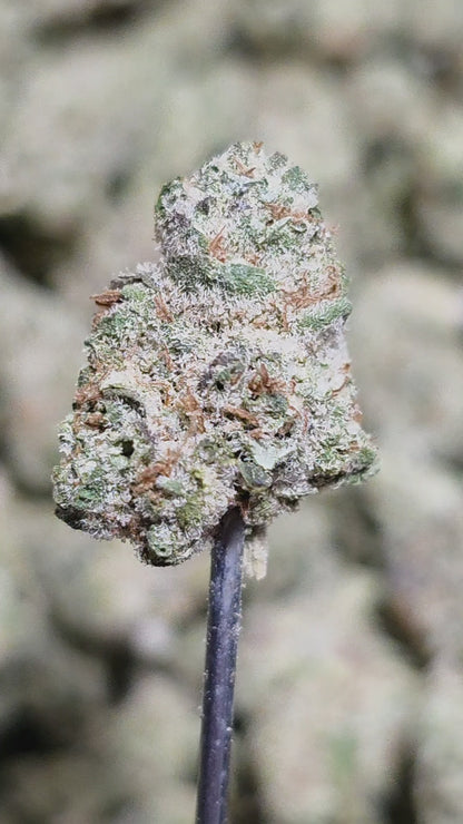 Devil Fruit 34% Bulk Smalls