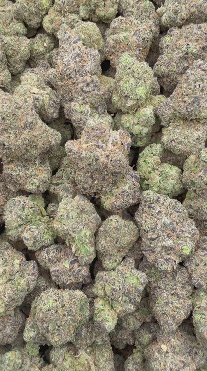 Cosmic Queen 36% Thca