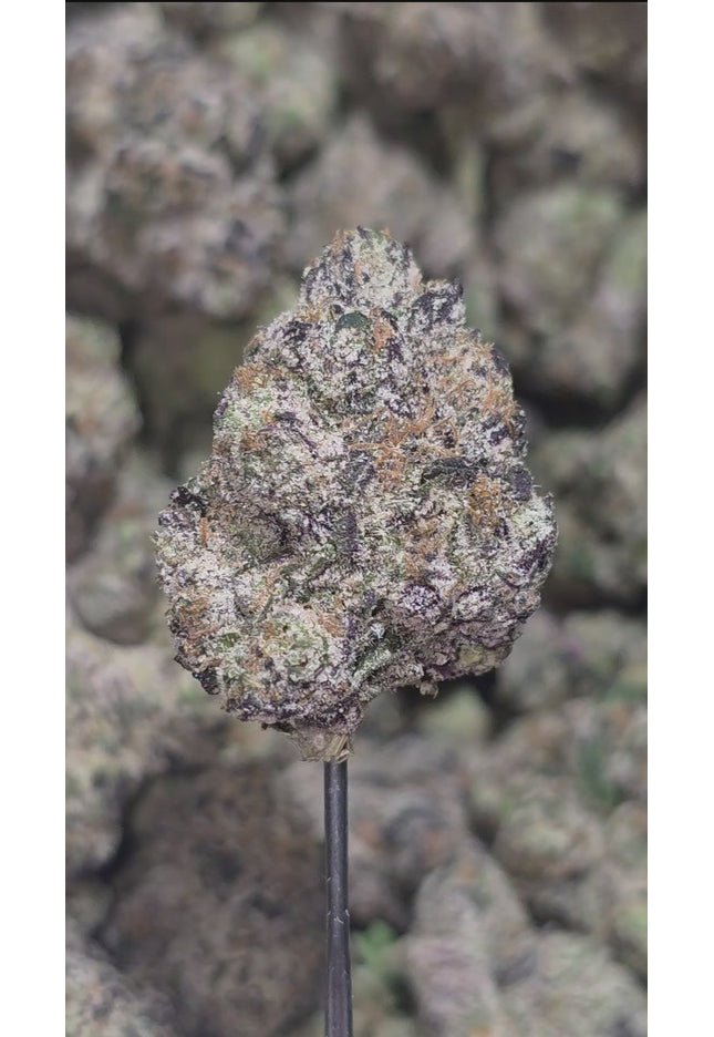 AfGooey 35% Thca