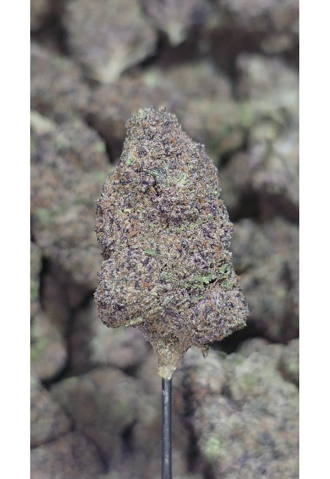 Hallie Berry 34% Thca Bulk