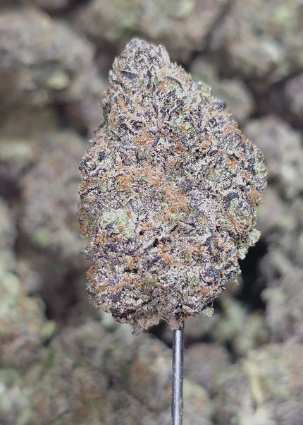 Buy kush online discount large green & purple flower nug