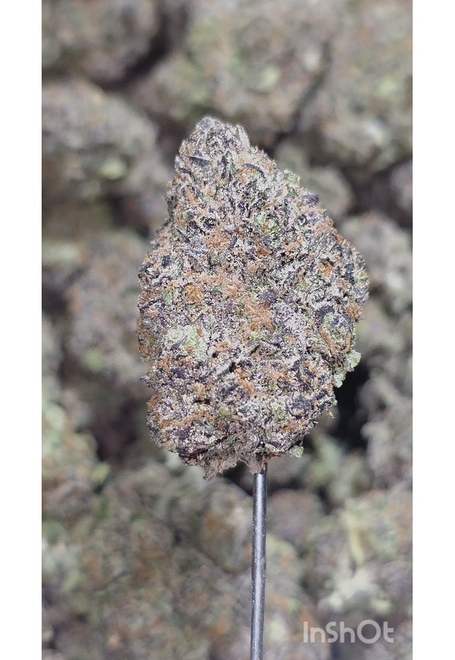 Buy kush online discount large green & purple flower nug