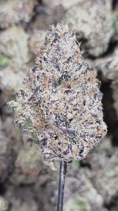 Ice Cream Cake 36% Thca