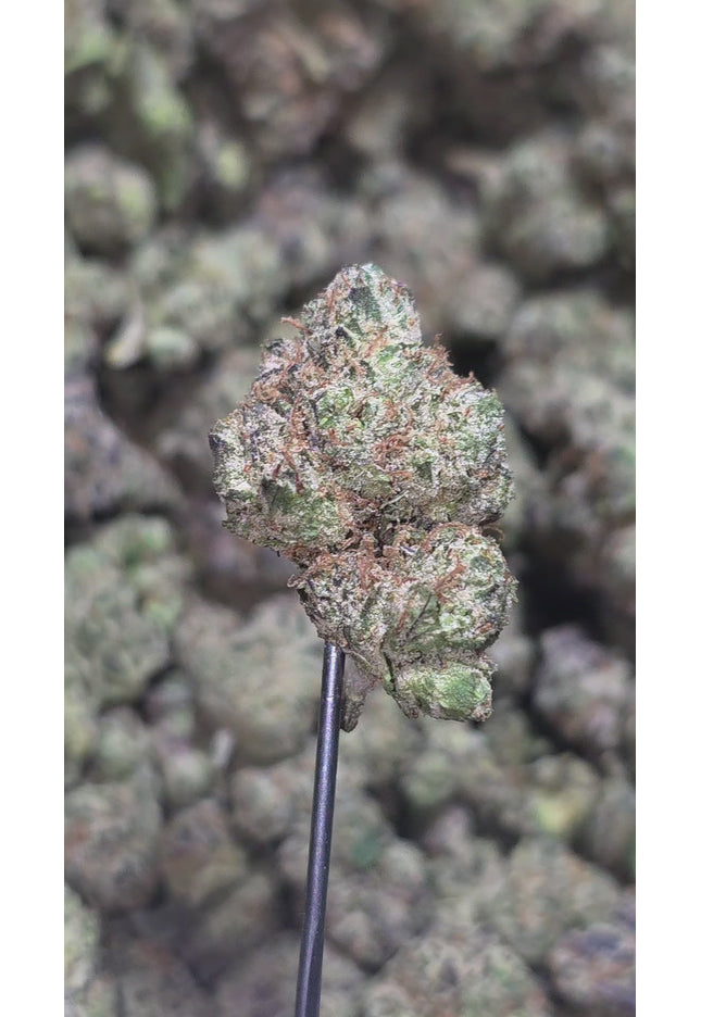 Zowahh 35% Thca Medium/Small Mix (RARE Strain)