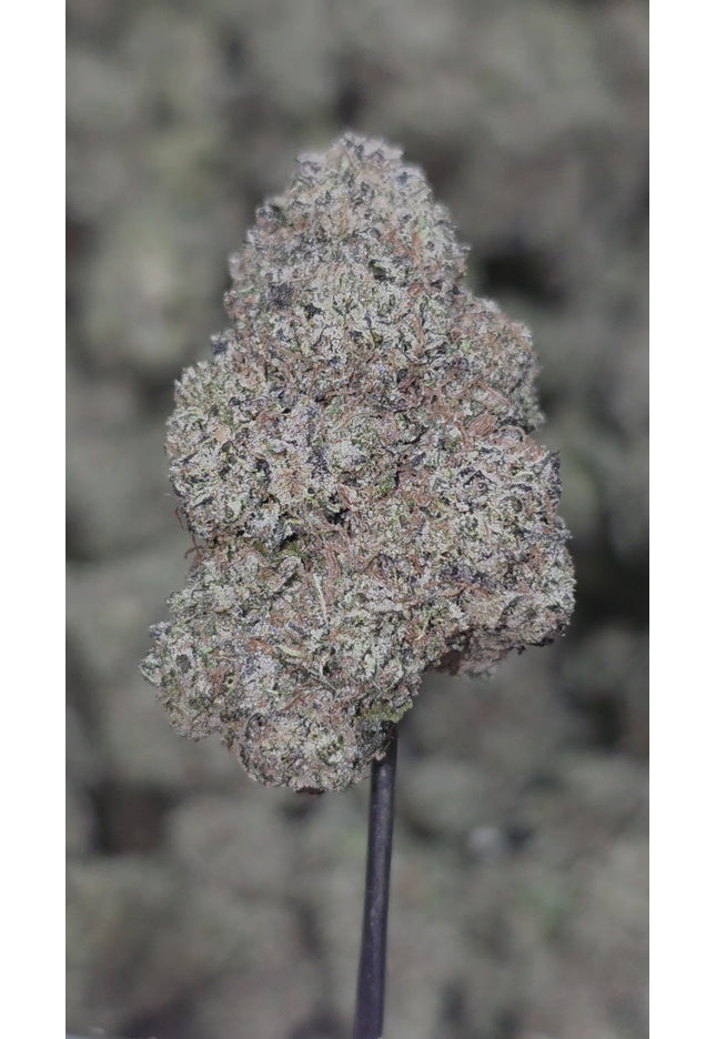 Tom Ford 35% Thca