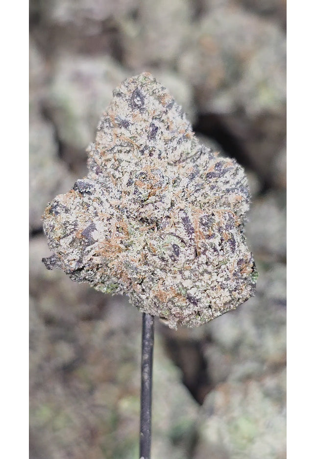AfGooey 35% Thca Bulk (NEW GROW 🔥)