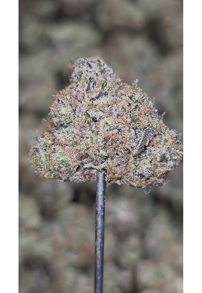 Private Reserve Med 35% Thca Bulk