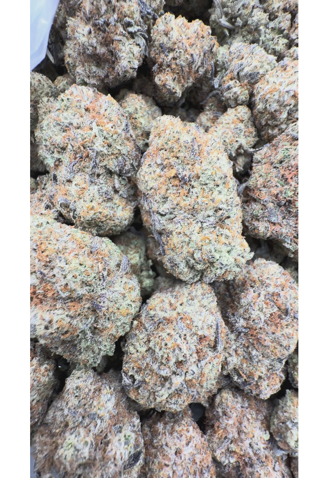 Mind Goblin  35% Thca