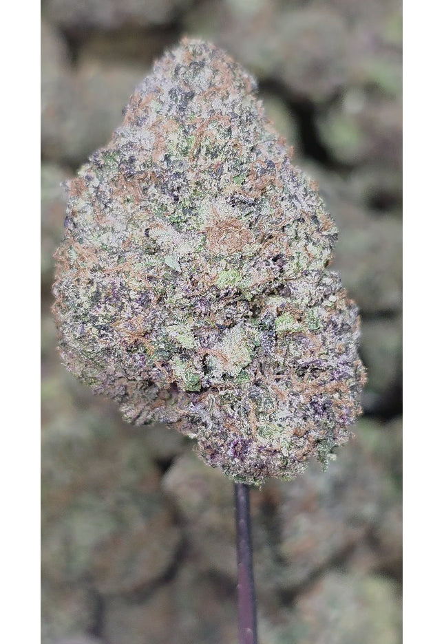 Sour Maui 35% Thca Bulk