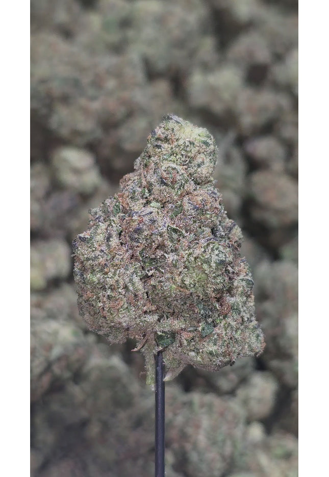 Gorilla Glue 33% Thca BULK